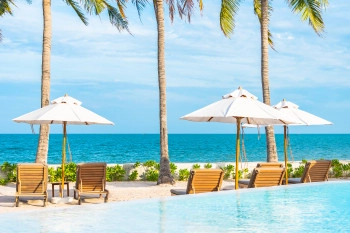 Hotels & Travel